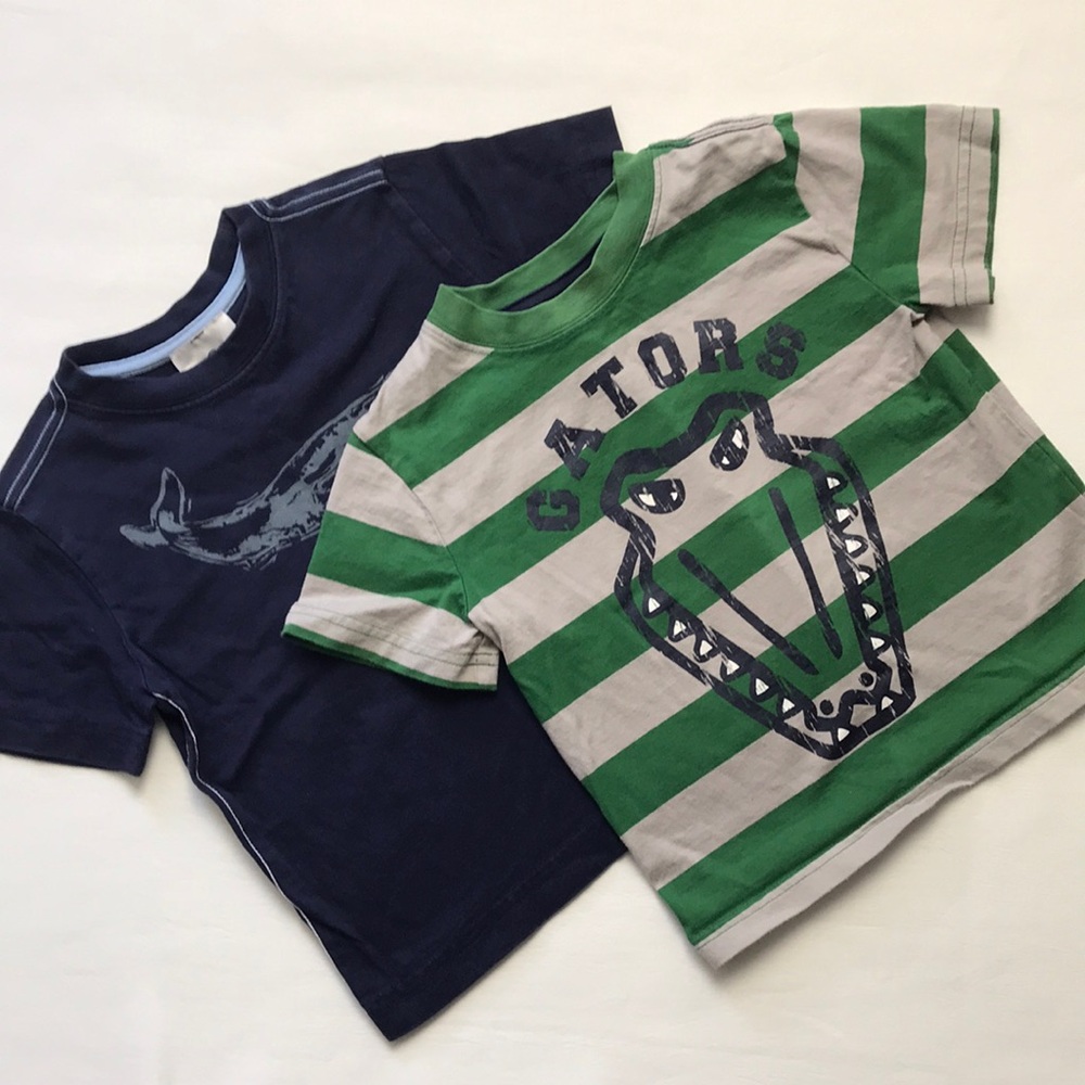 **Hanna Andersson Tees (size 90)
